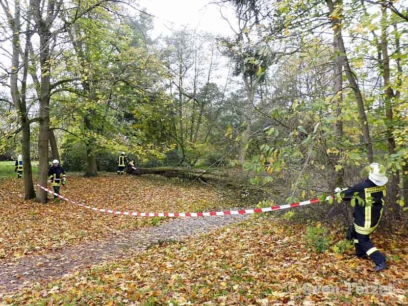 Die Spur von "Herwart"