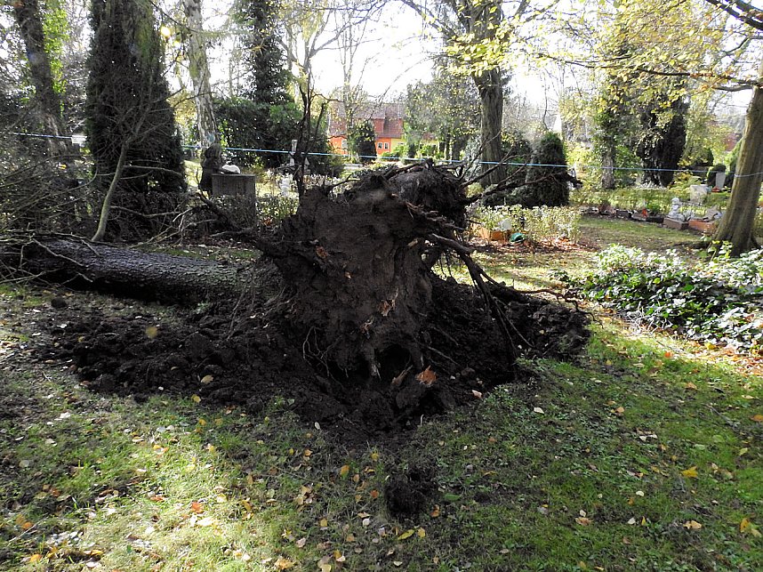 Aufr&auml;umarbeiten auf dem Hauptfriedhof