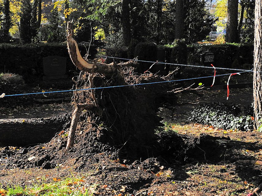 Aufr&auml;umarbeiten auf dem Hauptfriedhof