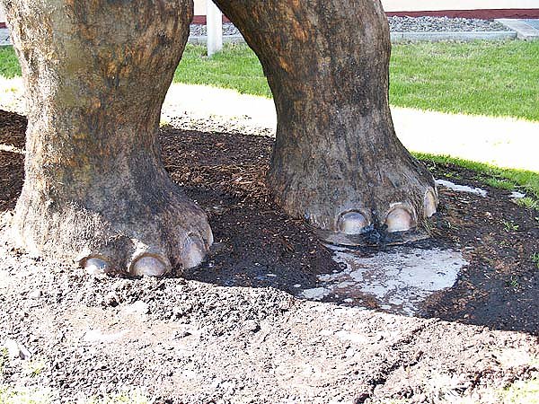 Brandanschlag auf "Ur-Einwohner"