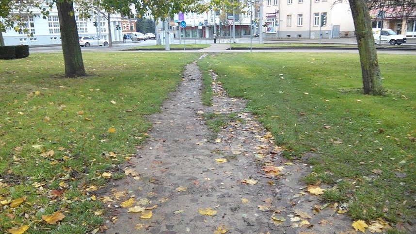 Bis Jahresende will Sachgebietsleiter  Steffen Meyer diesen Trampelpfad beseitigen.