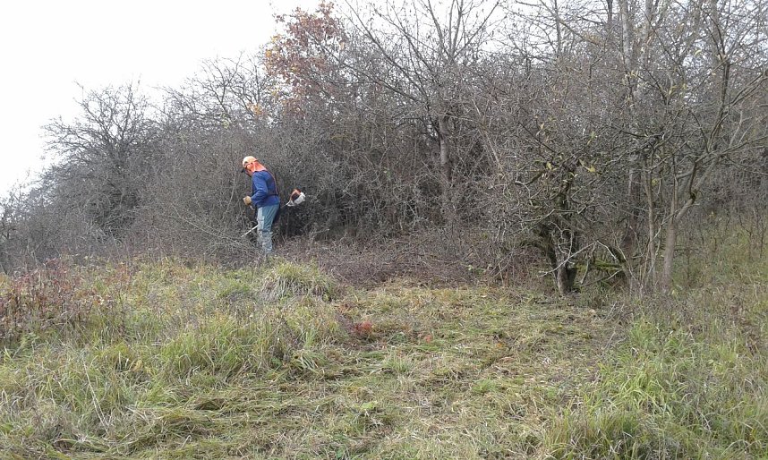 Gem&auml;ht und entbuscht