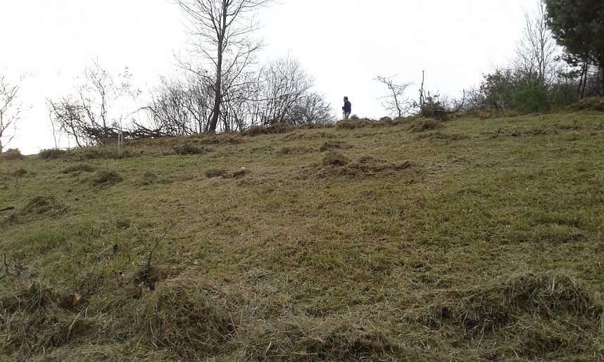 Gem&auml;ht und entbuscht