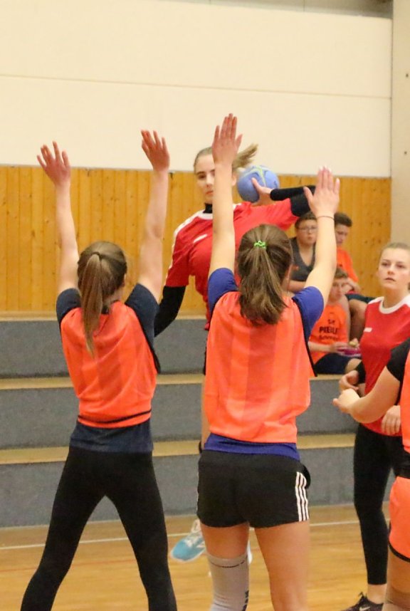 Schulsport: Kreisfinale Handball