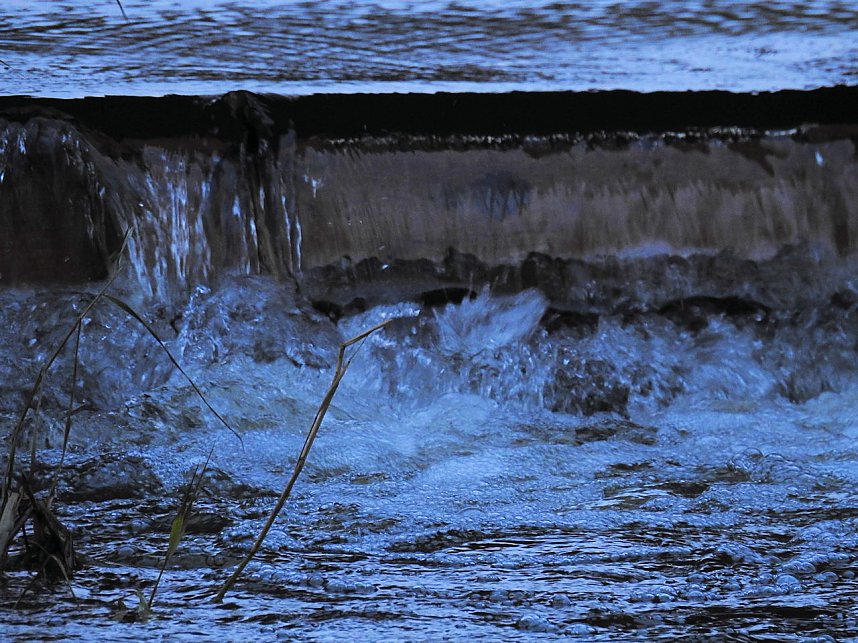 Abstecher in den W&ouml;rlitzer Park