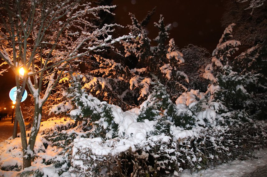 Erster Advent in Nordhausen