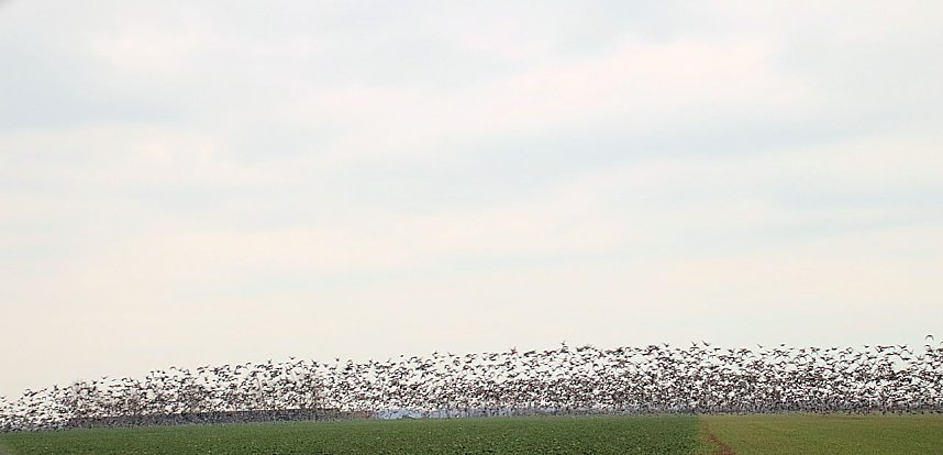 Was f&uuml;r ein grandioses Schauspiel...