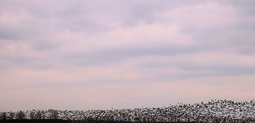 Was f&uuml;r ein grandioses Schauspiel...