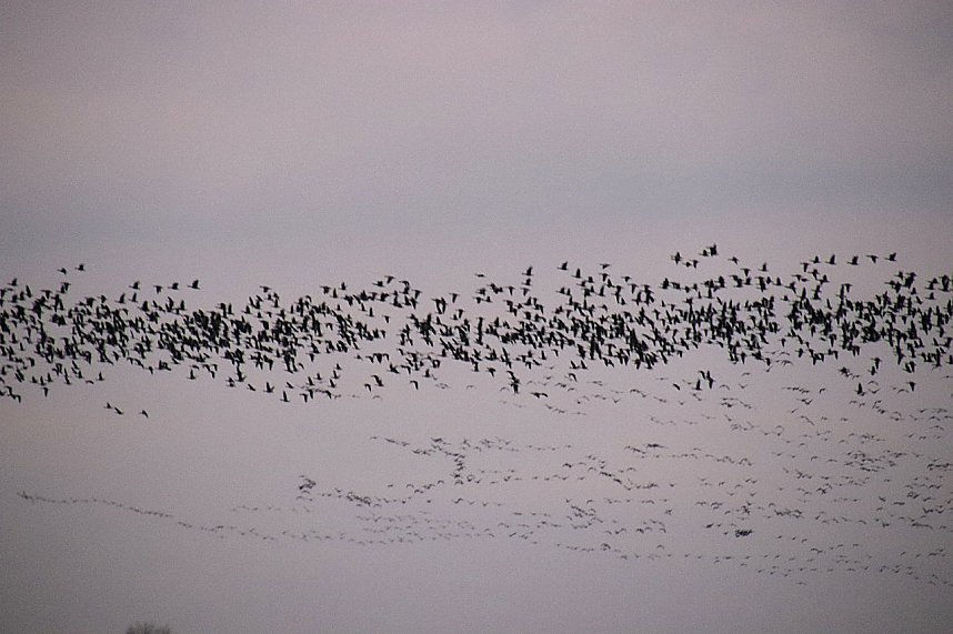 Was f&uuml;r ein grandioses Schauspiel...