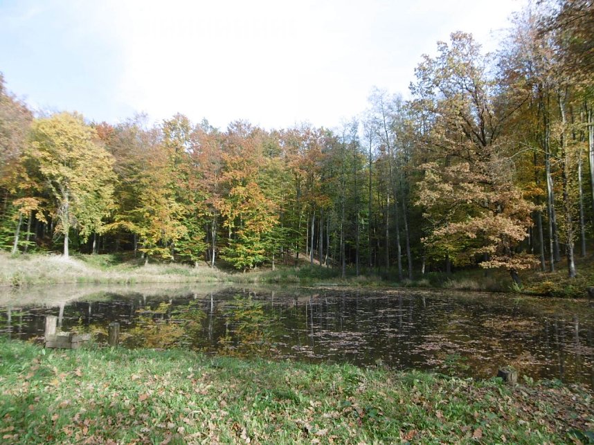 Viel Arbeit im "Wernaer Tal"