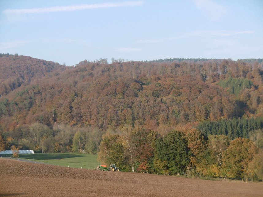 Viel Arbeit im "Wernaer Tal"