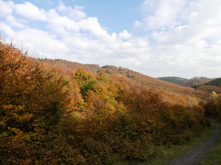 Viel Arbeit im "Wernaer Tal"