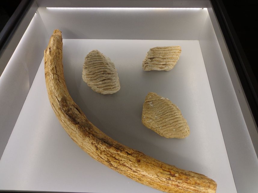 Dauerausstellung er&ouml;ffnet