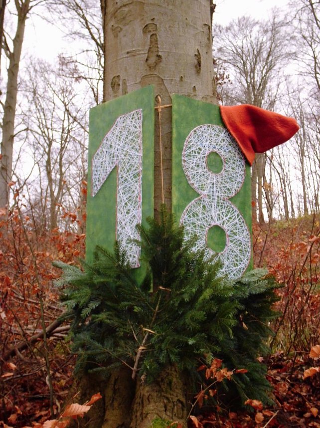 Lebendiger Adventskalender in Harztor