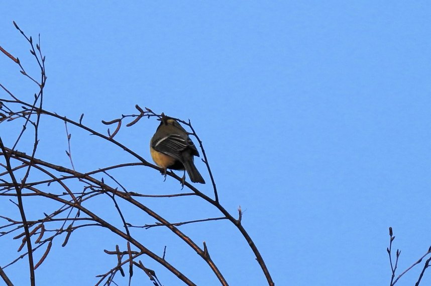 Mal ganz entspannt...