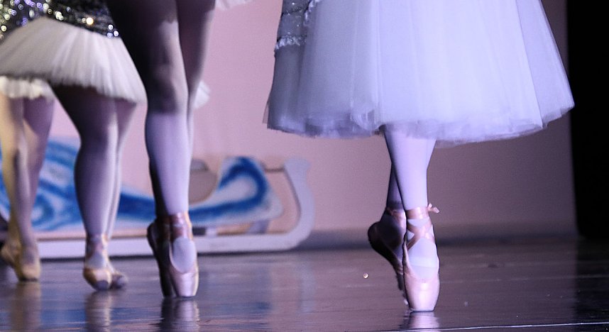 "Die Sch&ouml;ne und das Biest"