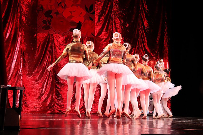 "Die Sch&ouml;ne und das Biest"