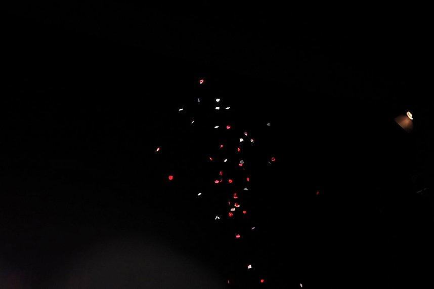 "Die Sch&ouml;ne und das Biest"