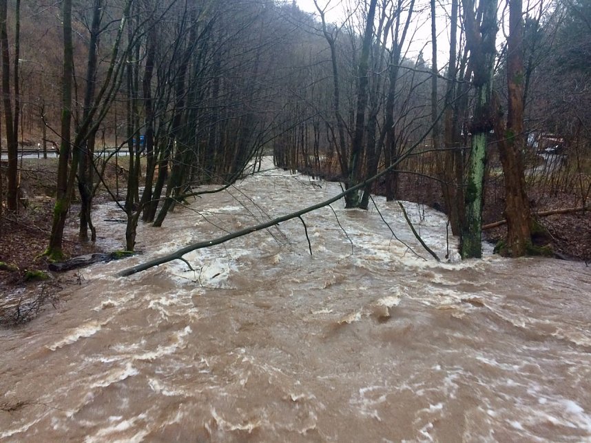 Hochwasser in der Bere bei Ilfeld