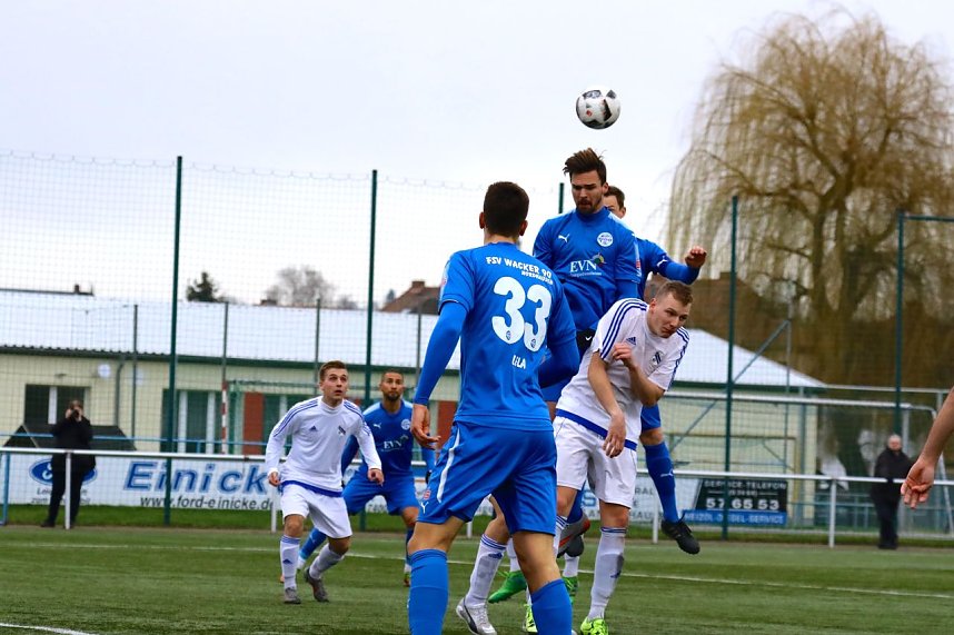 Test gegen Sangerhausen gewonnen