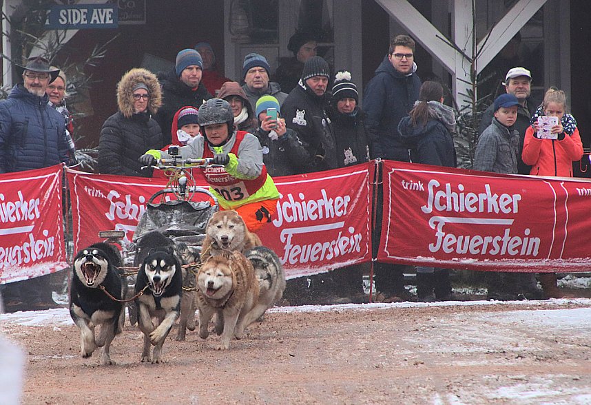 Schlittenhunderennen in Pullmann City II