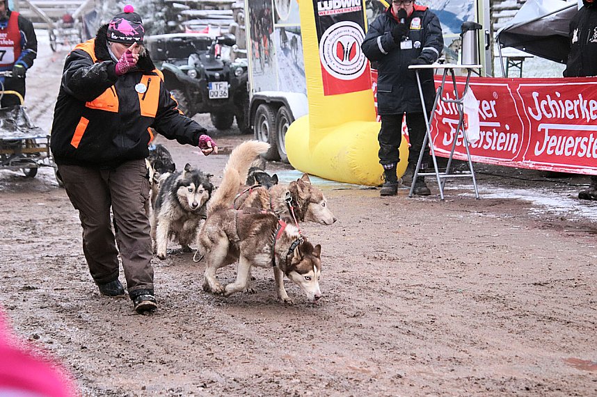 Schlittenhunderennen in Pullmann City II