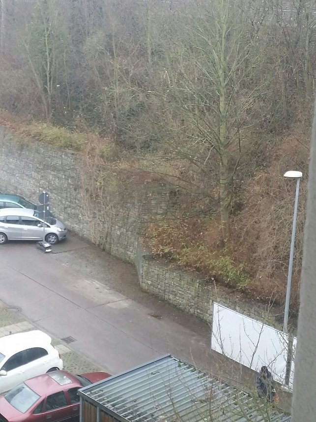 Fr&uuml;hjahrsputz par excellence