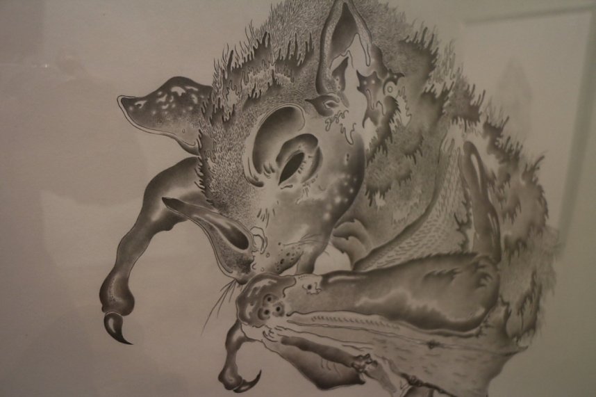 "Zeichen der Moderne" - neue Ausstellung im Kunsthaus Nordhausen er&ouml;ffnet