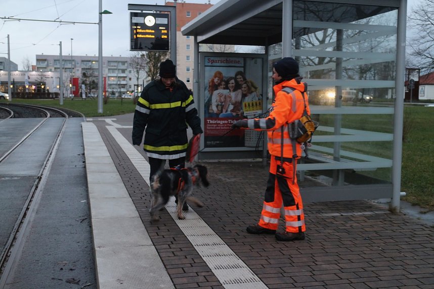 Rettungshundestaffel im Einsatz am S&uuml;dharz-Klinikum