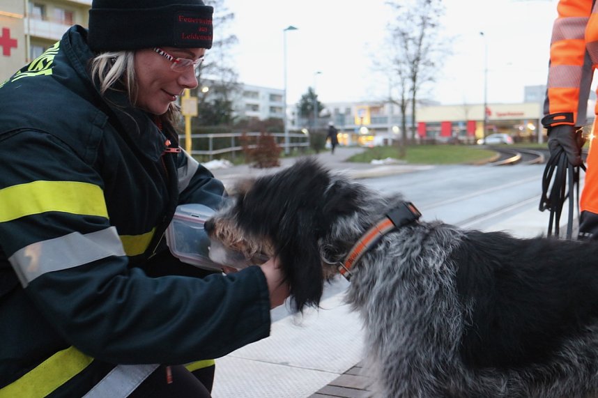 Rettungshundestaffel im Einsatz am S&uuml;dharz-Klinikum