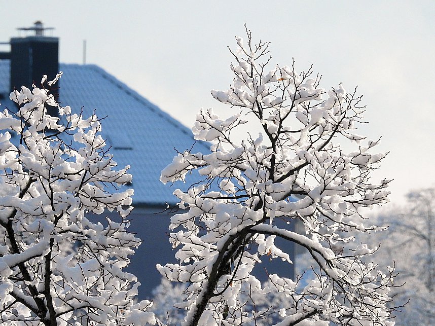 Winter in Nordhausen