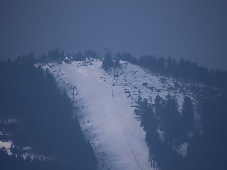 Schlittenhunde rennen rund um Benneckenstein