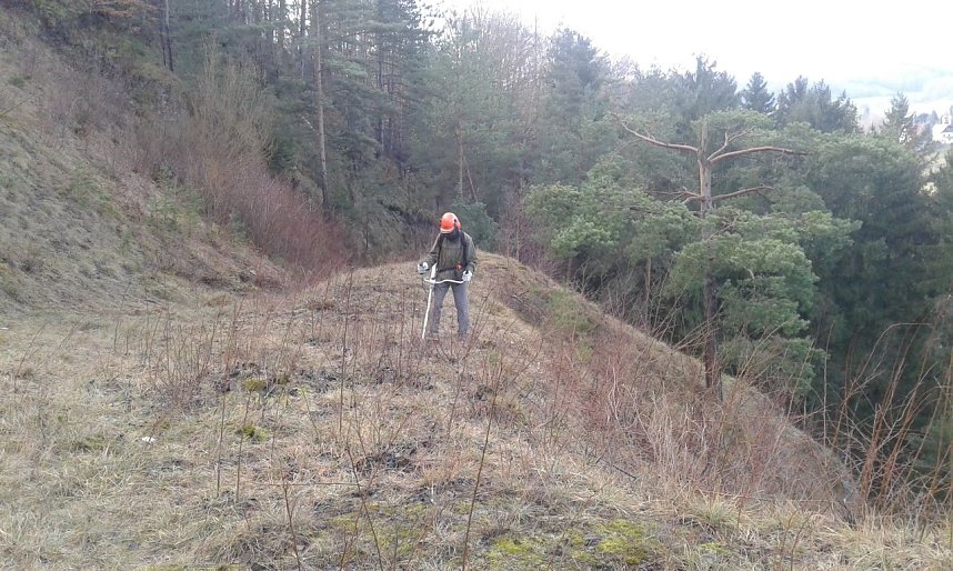 S&auml;gen f&uuml;r die Kuhschelle