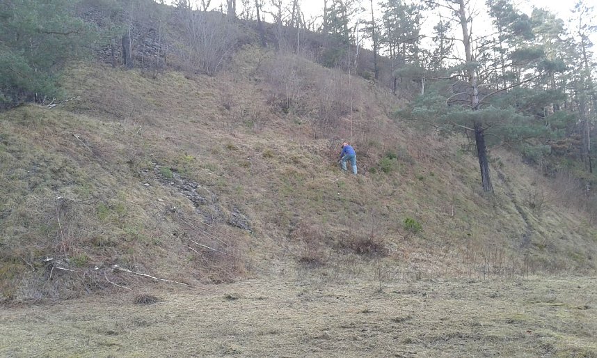 S&auml;gen f&uuml;r die Kuhschelle