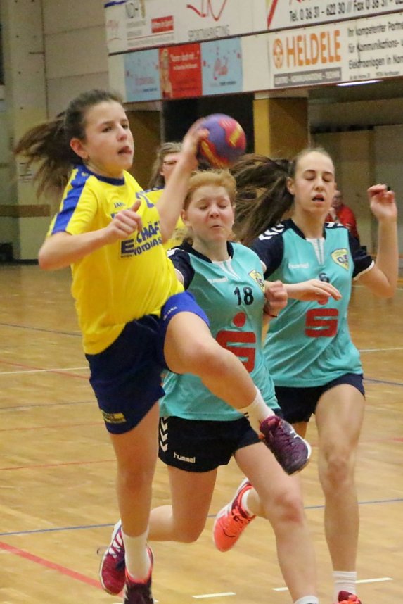 Vom weiblichen Handballnachwuchs des Nordh&auml;user SV