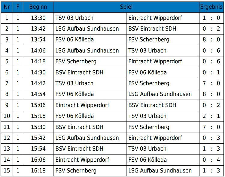 Hallencup des BSV Eintracht der F-Junioren