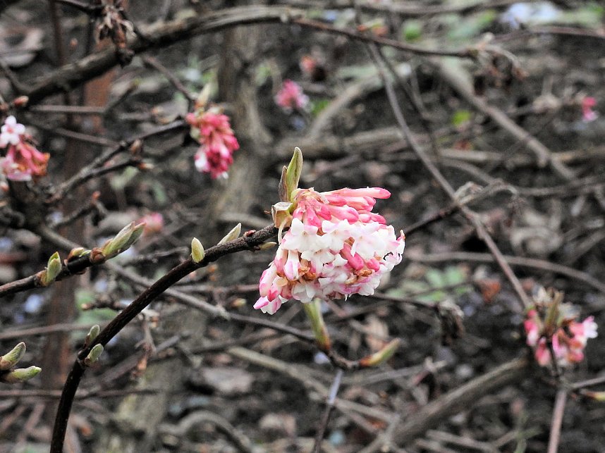 Interessanter Rundgang im Stadtpark