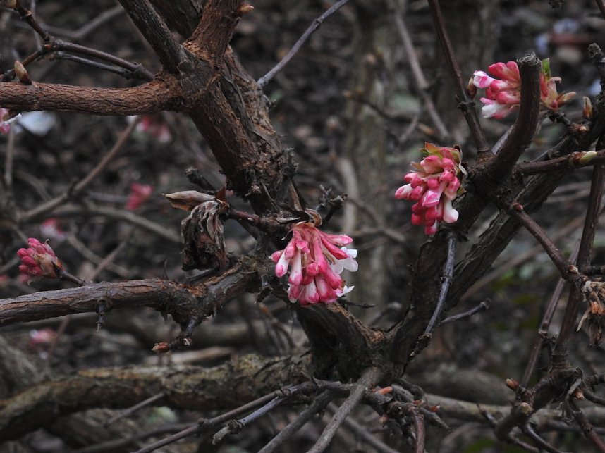 Interessanter Rundgang im Stadtpark