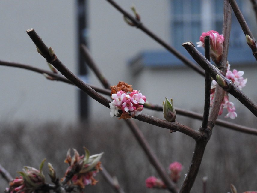 Interessanter Rundgang im Stadtpark