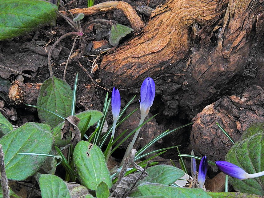Interessanter Rundgang im Stadtpark