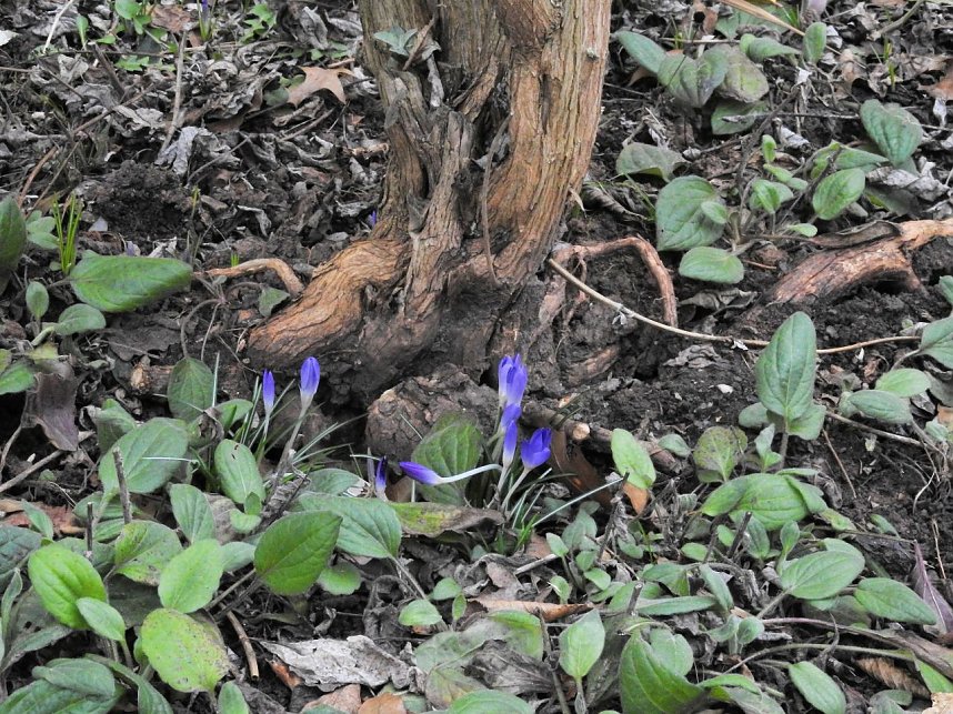 Interessanter Rundgang im Stadtpark