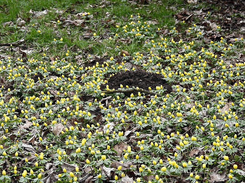 Interessanter Rundgang im Stadtpark