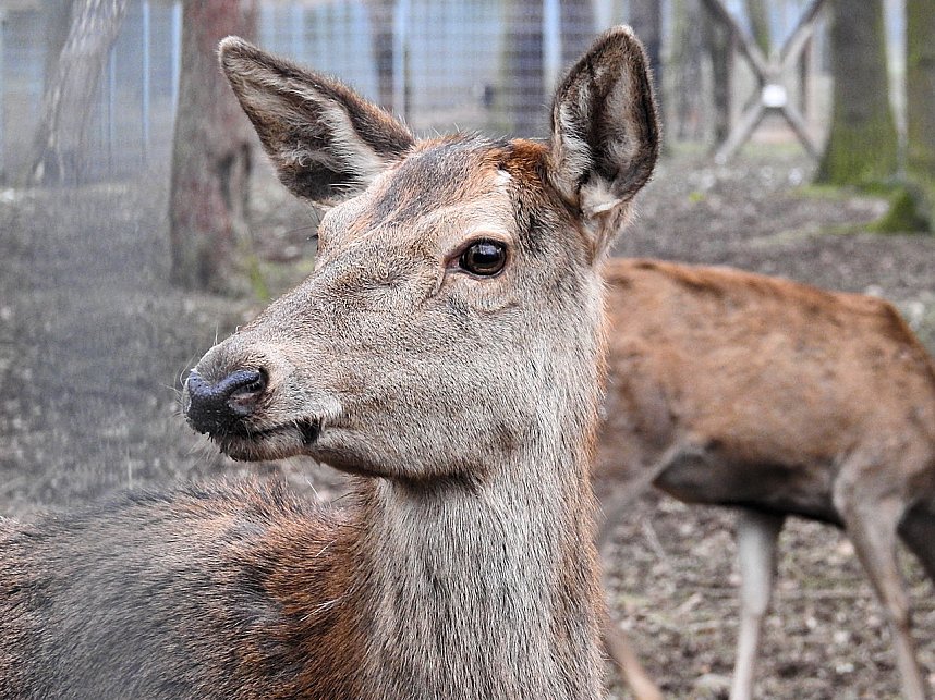 Interessanter Rundgang im Stadtpark