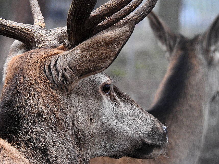 Interessanter Rundgang im Stadtpark