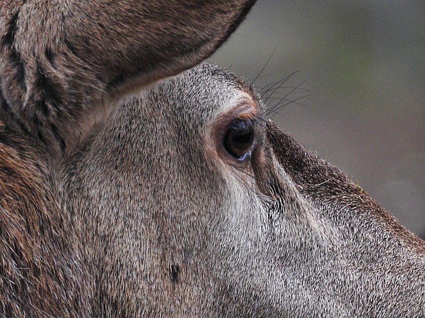 Interessanter Rundgang im Stadtpark