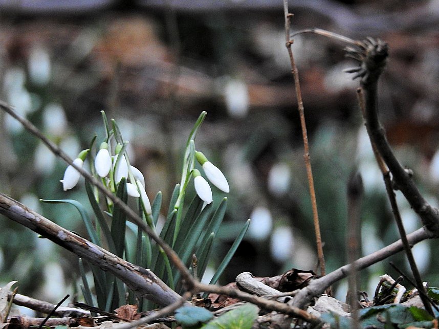 Interessanter Rundgang im Stadtpark