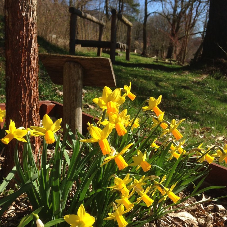 Ahornpark-Verein l&auml;dt ein