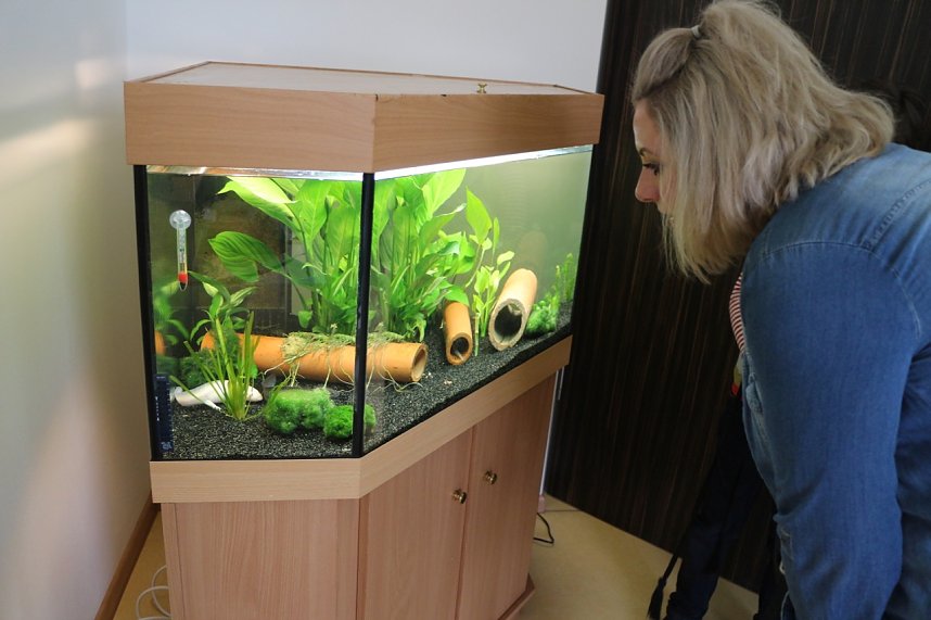 Startschuss f&uuml;r die "Gartenkinder", Bleicherodes neuer Kindergarten wurde offiziell &uuml;bergeben