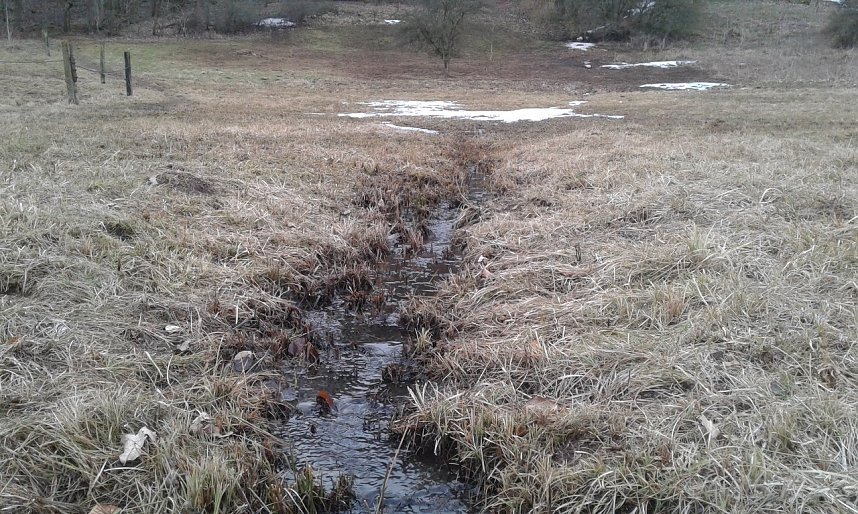 Mahd im Moor, BUND Nordhausen im Einsatz