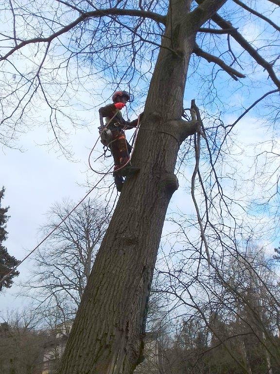 Auf die B&auml;ume - im Park Hohenrode